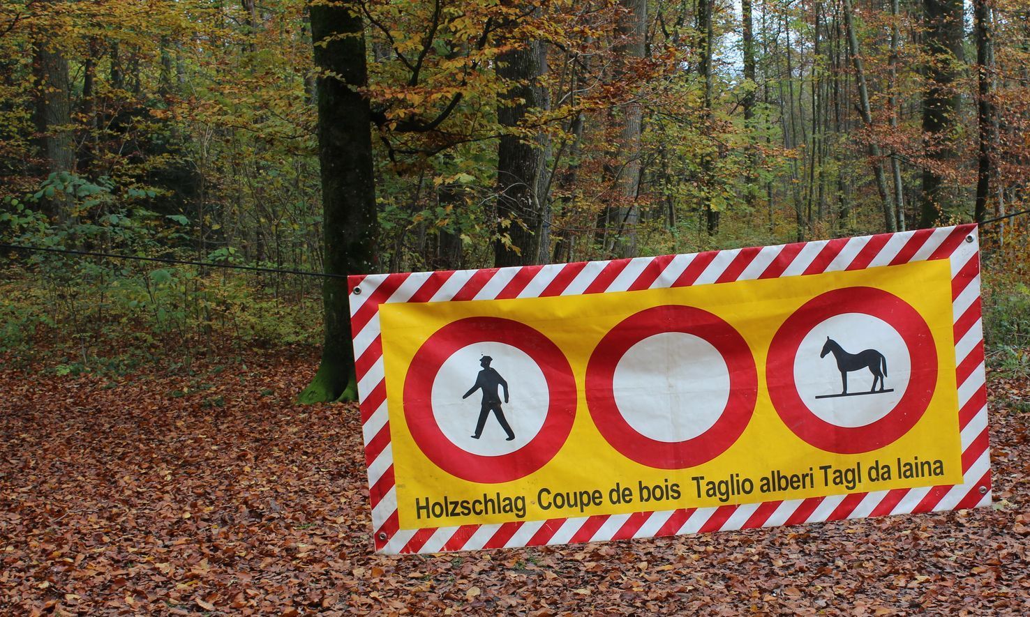 Signalisation Holzschlag