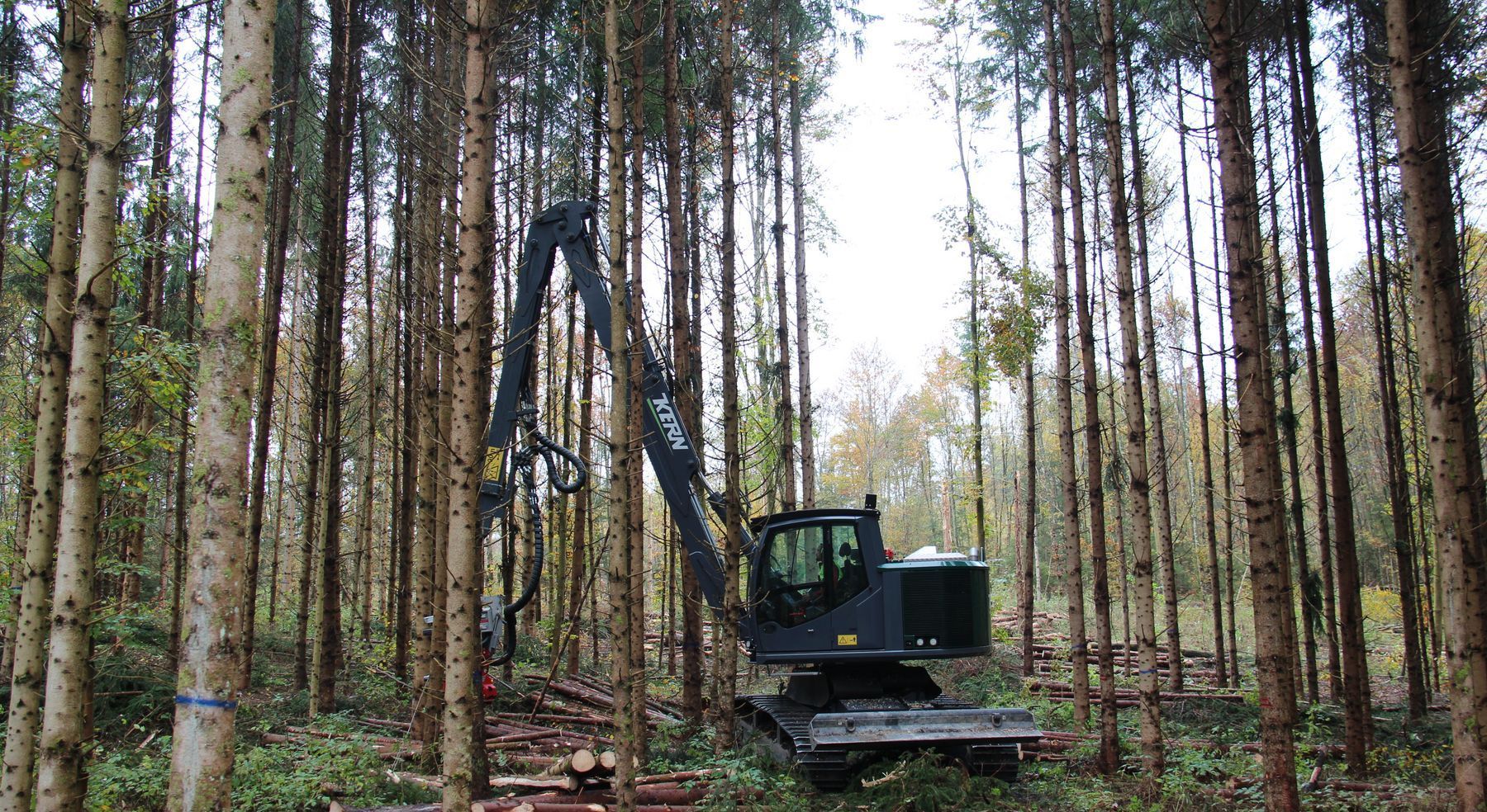 Waldarbeiten mit einem Fahrzeug