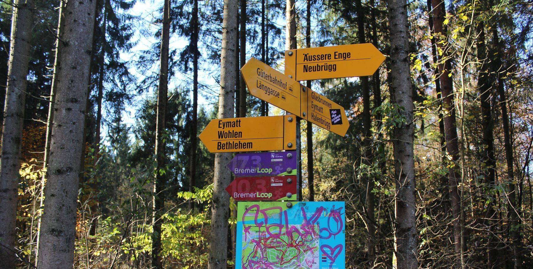 Wegmarkierung an einer Kreuzung im Wald