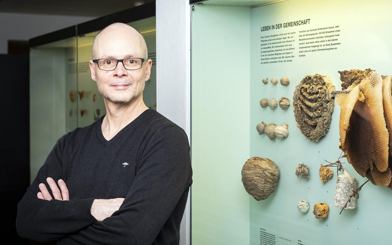 Hannes Baur NMBE/Rodriguez