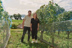 Lorenz und Andrea Hämmerli zwischen ihren Weinreben