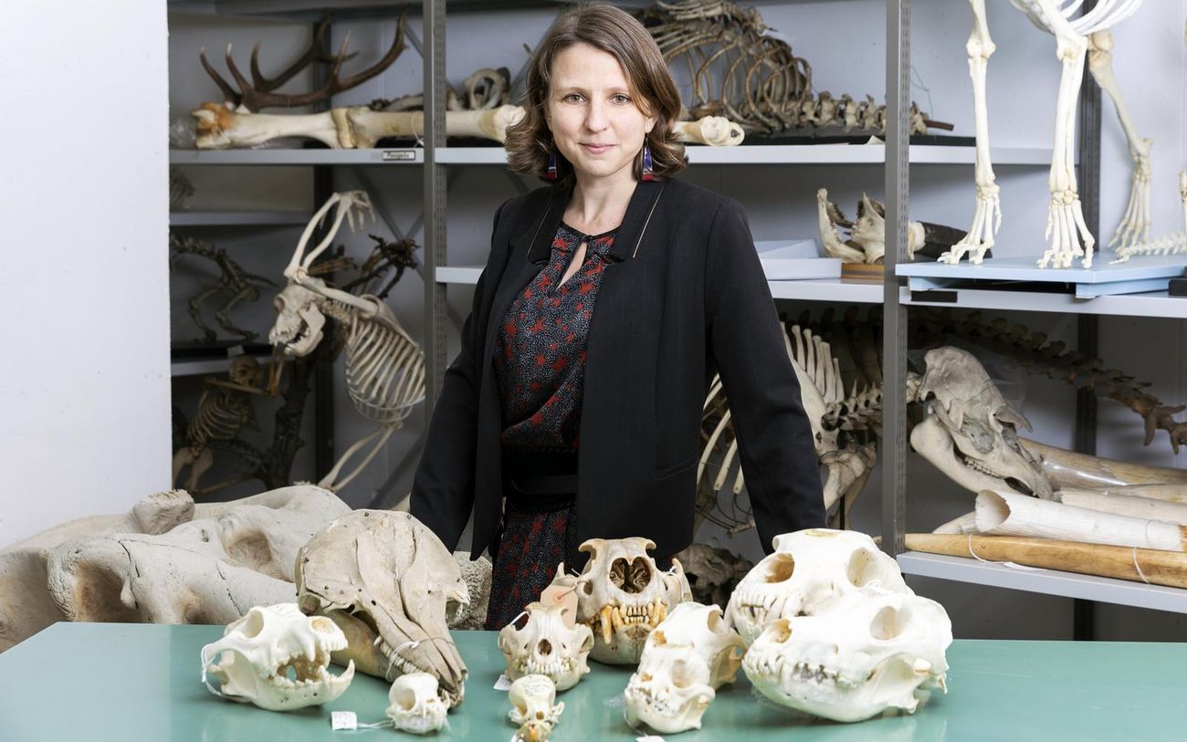 Anne-Claire Fabre. NMBE/Rodriguez