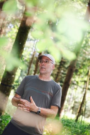 Portrait des Waldökologen durch Blätter hindurch