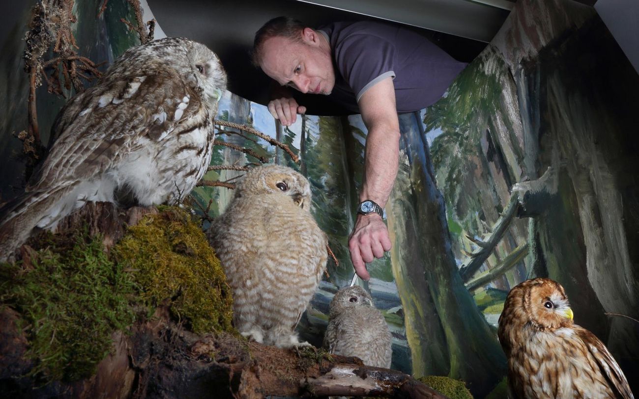 Martin Troxler NMBE/Schäublin