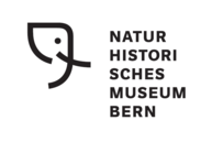 Logo Naturhistorisches Museum Bern
