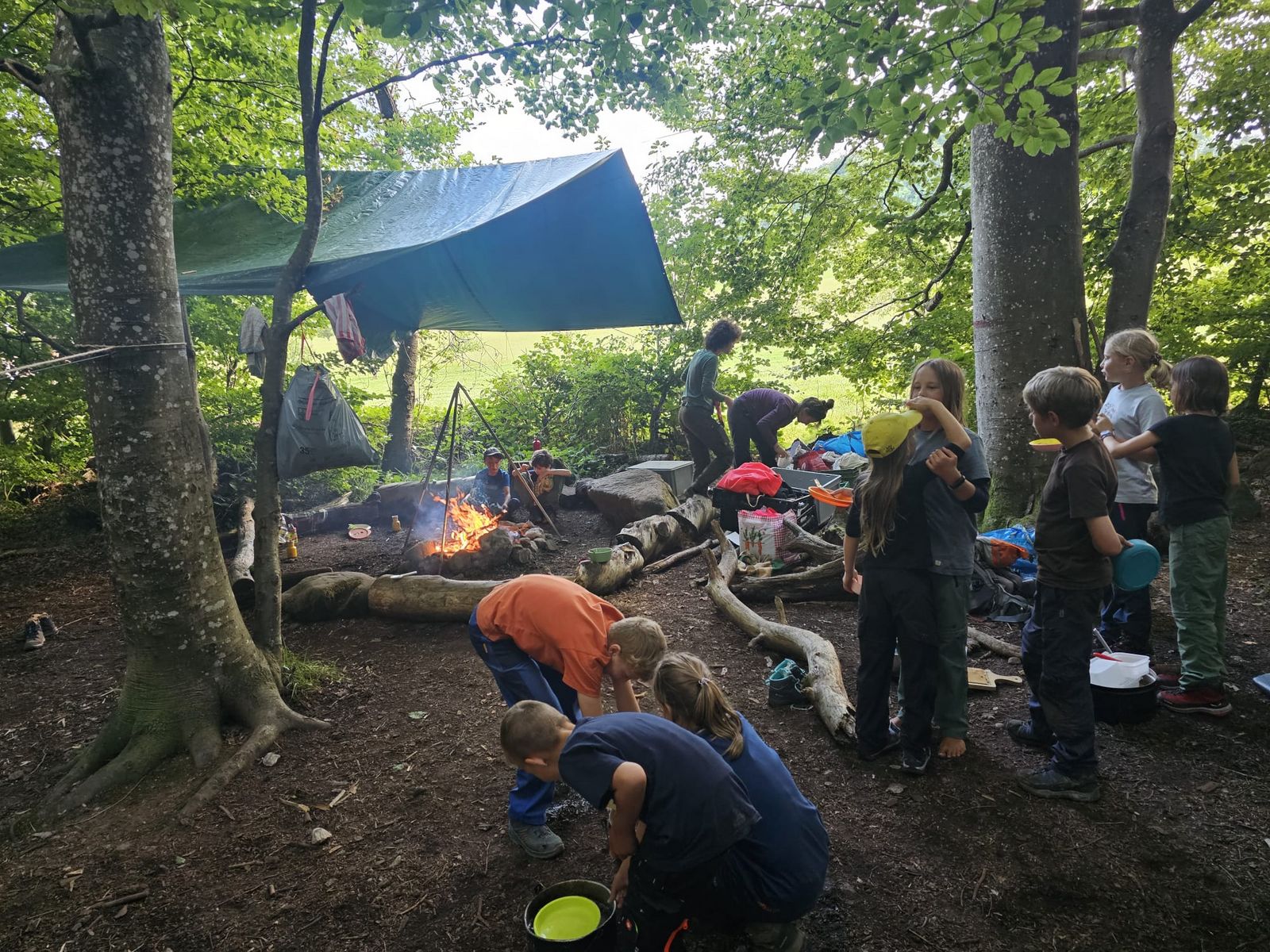 Naturentdeckungstage Waldwunder