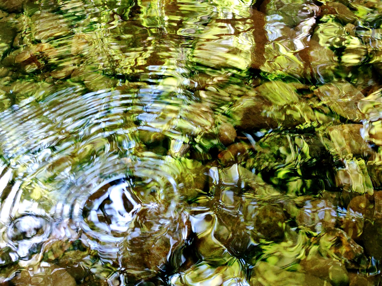 Hydrologielabor Bremgartenwald