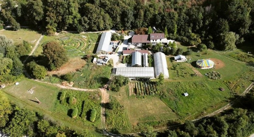 Luftperspektive des Zehndermätteli